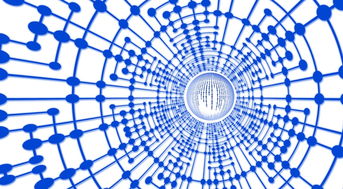 星空体育下载-高校运动训练效果监控与评价体系,运动训练监控从哪些方面监控