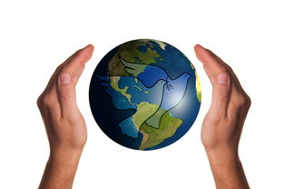 星空体育app体验棒-美国队赛制评析:赛制的灵活性如何帮助球队实现更好成绩,美国队赛程表